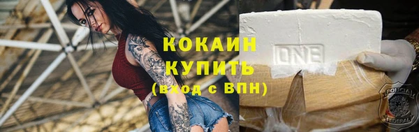 молекула духа Богородицк