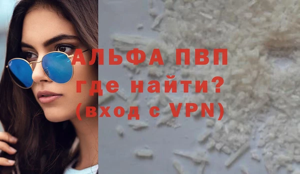 молекула духа Богородицк