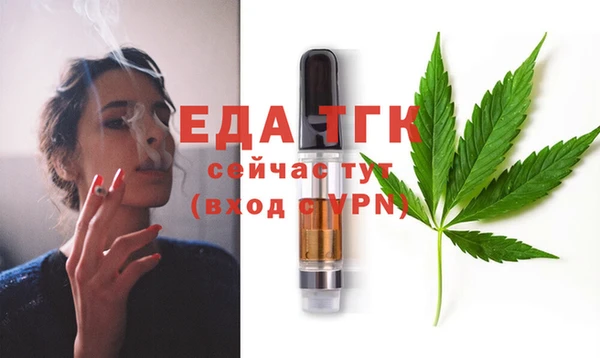 молекула духа Богородицк