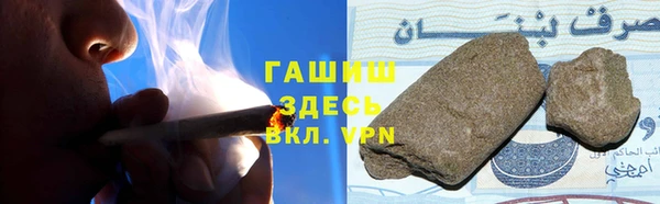 молекула духа Богородицк