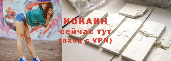 молекула духа Богородицк