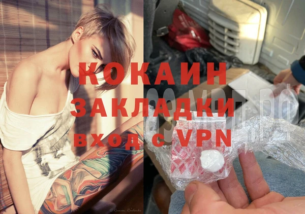 молекула духа Богородицк