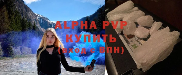 молекула духа Богородицк