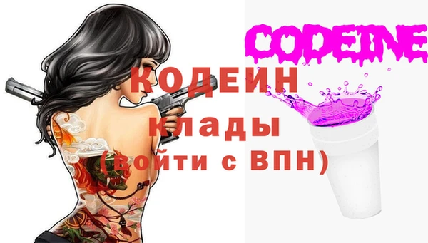 молекула духа Богородицк